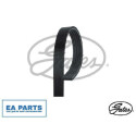 Correa trapecial poli V Micro-V® Horizon