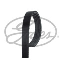 Correa trapecial poli V Micro-V® Horizon