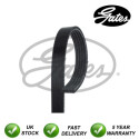 Correa dentada PowerGrip®