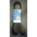 Correa trapecial poli V DAYCO 6 PK 2550