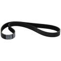 Correa trapecial poli V DAYCO 6 PK 850