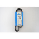 Correa trapecial poli V DAYCO 6PK1035S