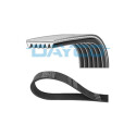 Correa trapecial poli V DAYCO 6PK1215S