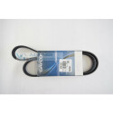 Correa trapecial poli V DAYCO 6PK1225