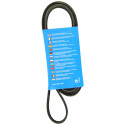 Correa trapecial poli V DAYCO 6 PK 1590