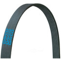 Correa trapecial poli V DAYCO 6 PK 2115