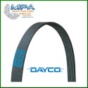 Correa trapecial poli V DAYCO 6PK905S