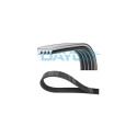 Correa trapecial poli V DAYCO 4PK917EE