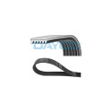 Correa trapecial poli V DAYCO 6PK684EE