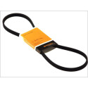 Correa trapecial poli V ContiTech 4 PK 830