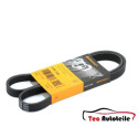 Correa trapecial poli V ContiTech 5 PK 1145