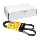 Correa trapecial poli V ContiTech 5 PK 1219