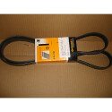 Correa trapecial poli V ContiTech 5 PK 1720