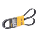 Correa trapecial poli V ContiTech 6PK1468