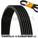 Correa trapecial poli V ContiTech 6PK2310