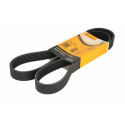Correa trapecial poli V ContiTech 7 PK 1325