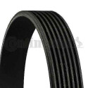 Correa trapecial poli V ContiTech 7PK1642