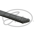 Correa trapecial poli V GATES 4PK798SF