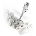 Soporte, motor CAUTEX/FACET 200931