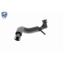 Tubo flexible, ventilación del cárter
