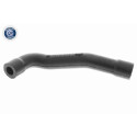 Tubo flexible, ventilación del cárter