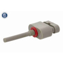Sensor agua, sistema combustible