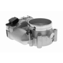 Cuerpo de mariposa