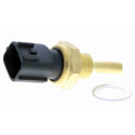 Sensor, temperatura del aceite