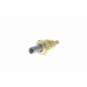 Sensor, temperatura del refrigerante