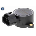Sensor, posición mariposa