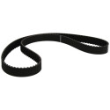 Correa dentada DAYCO 94982