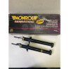 Amortiguador MONROE S1013