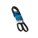 Correa dentada DAYCO 94773