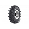 ASCENSO 5.00 -12 64/60A8 TDB121  TT 6PR